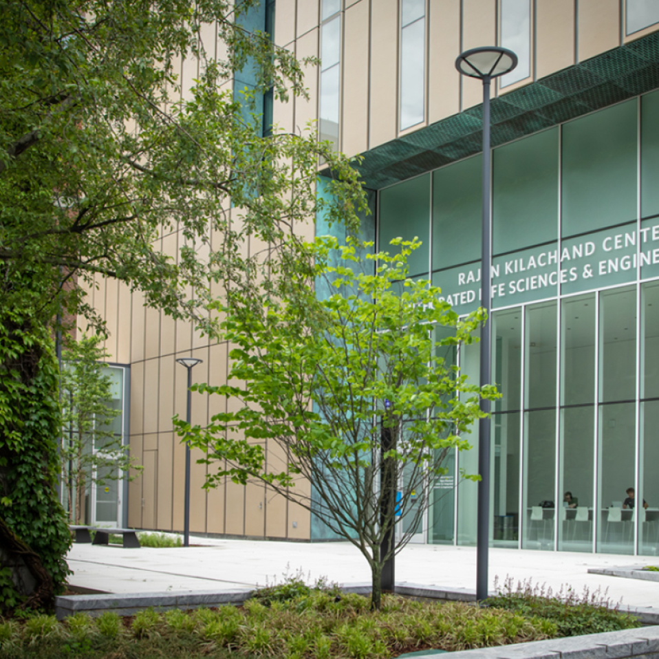 Our Facilities