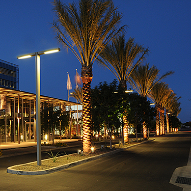 Project Mobile Banner