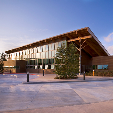 Project Mobile Banner