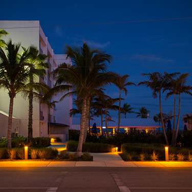 Project Mobile Banner